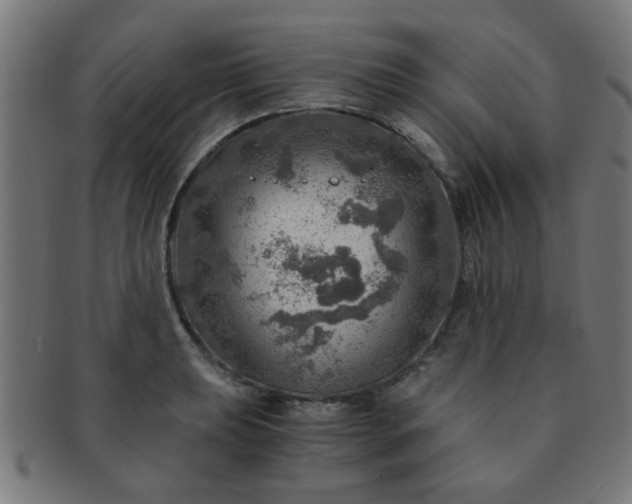 X0000091361039200708241306