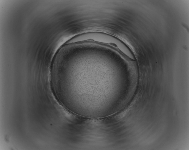 X0000091361040200708241306