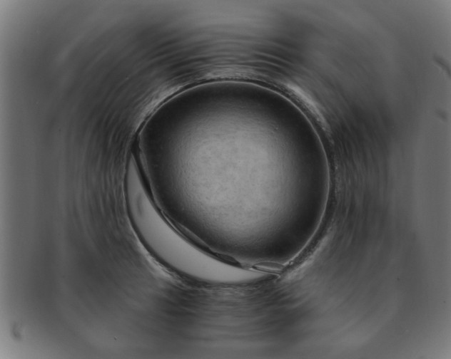 X0000091361041200708241306