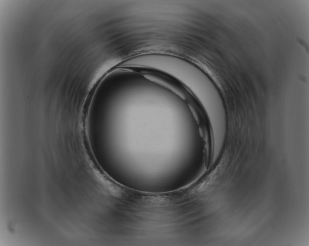 X0000091361042200708241306