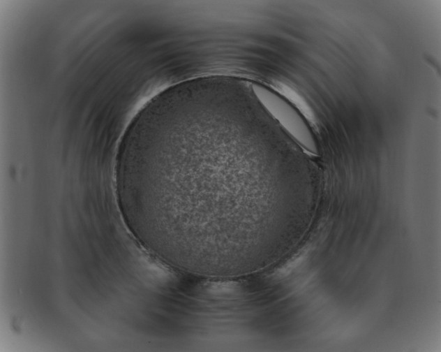 X0000091361043200708241306