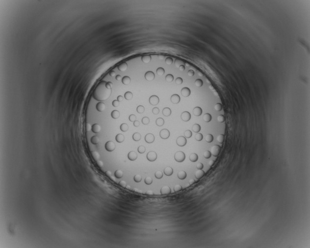 X0000091361044200708241306