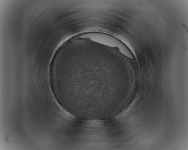 X0000091361045200708241306