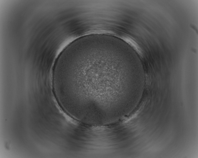 X0000091361046200708241306