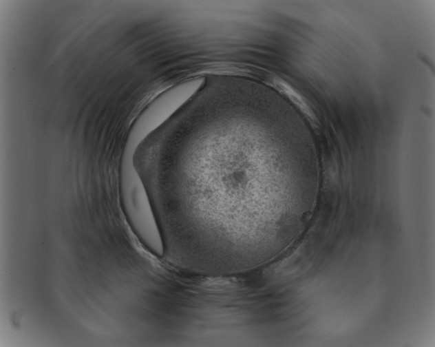 X0000091361049200708241306