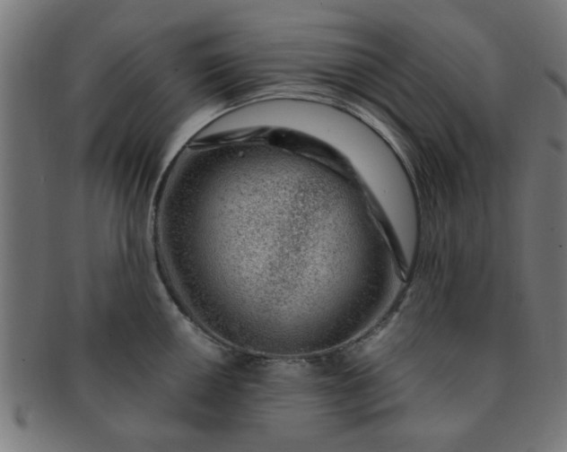 X0000091361050200708241306