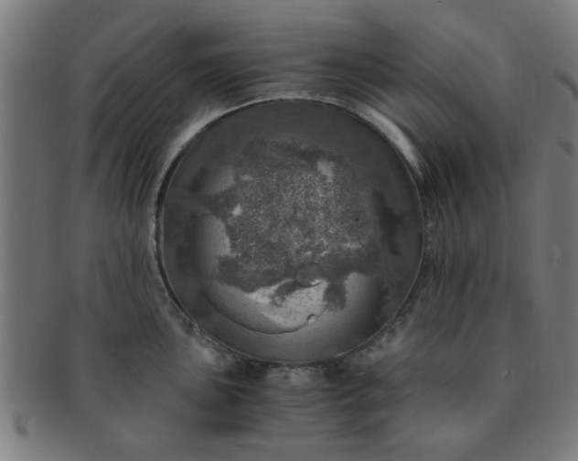 X0000091361051200708241306