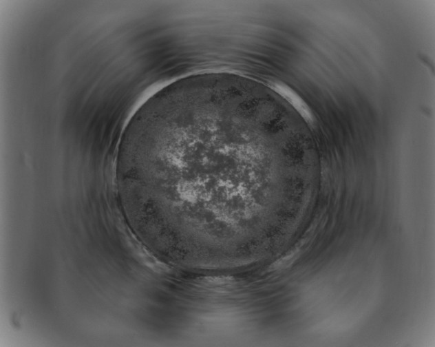 X0000091361052200708241306