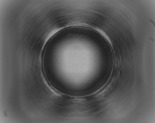 X0000091361053200708241306