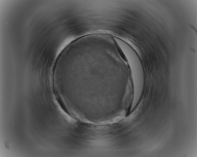 X0000091361054200708241306