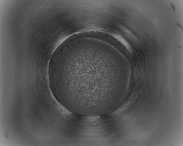 X0000091361055200708241306