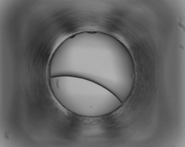 X0000091361056200708241306