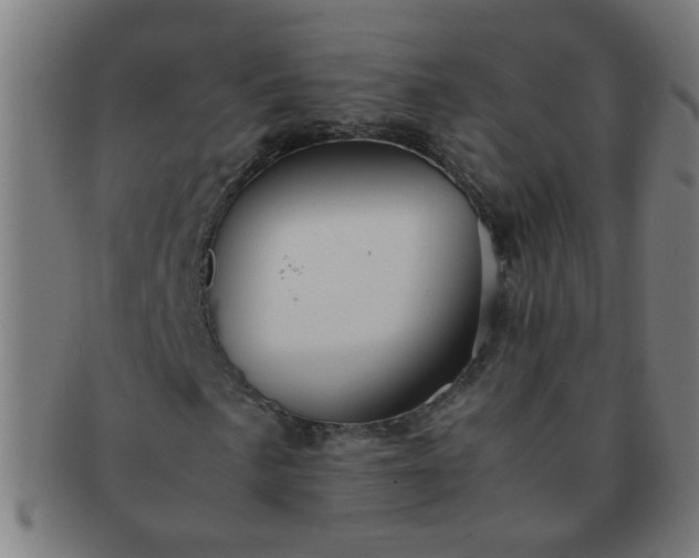 X0000091361057200708241305