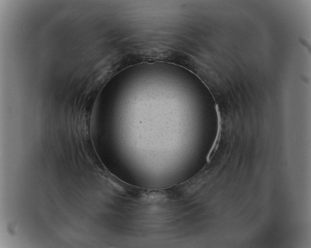 X0000091361058200708241305