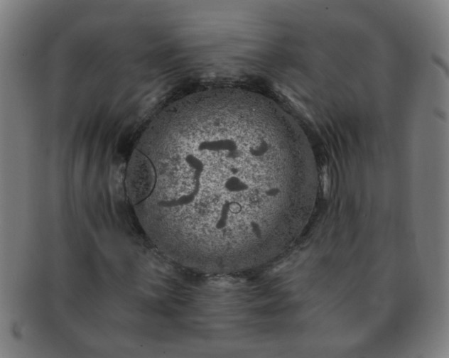 X0000091361059200708241305
