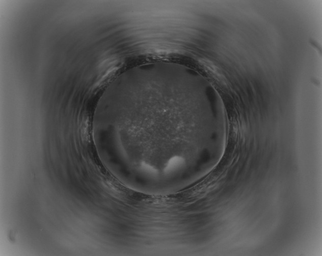 X0000091361060200708241305