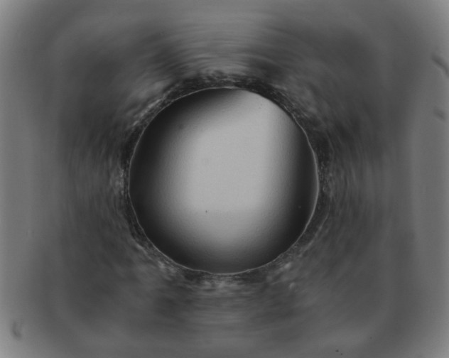 X0000091361061200708241305