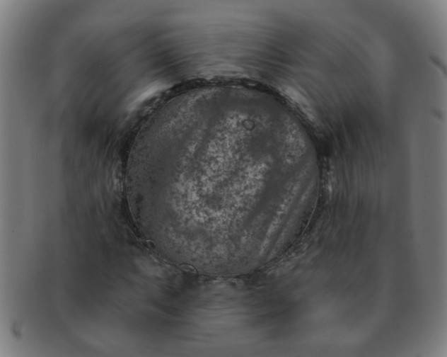 X0000091361063200708241305