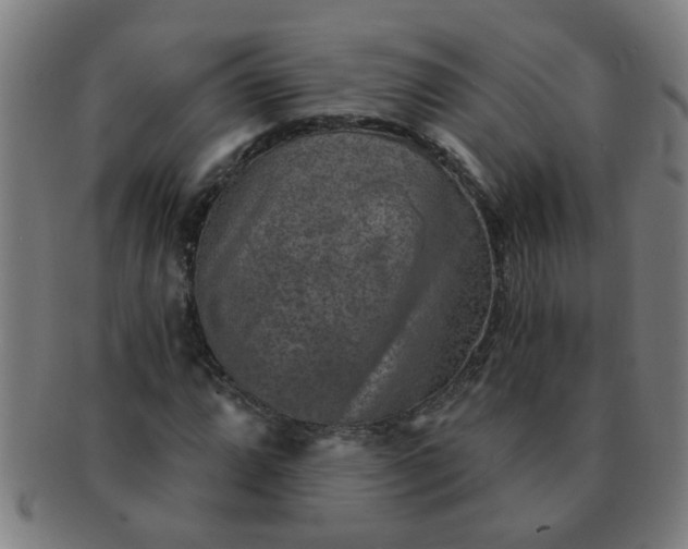 X0000091361064200708241305