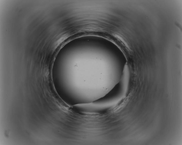 X0000091361065200708241305