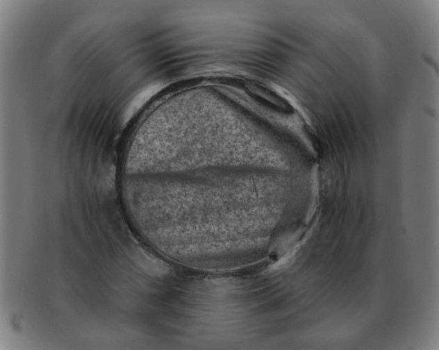 X0000091361066200708241305