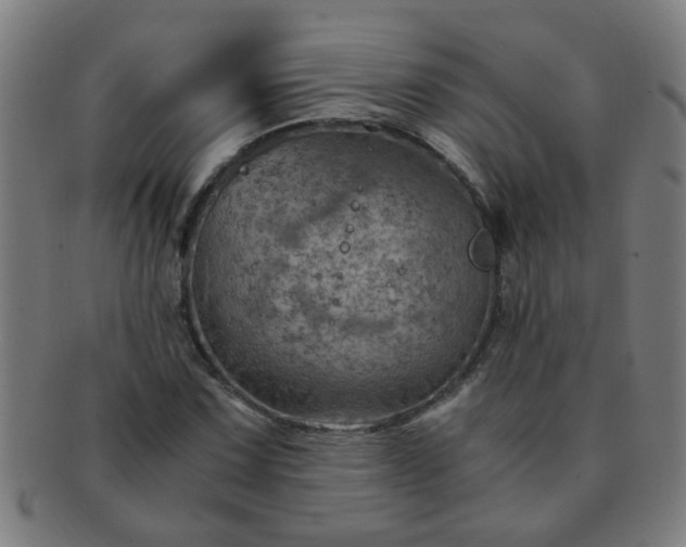 X0000091361067200708241305