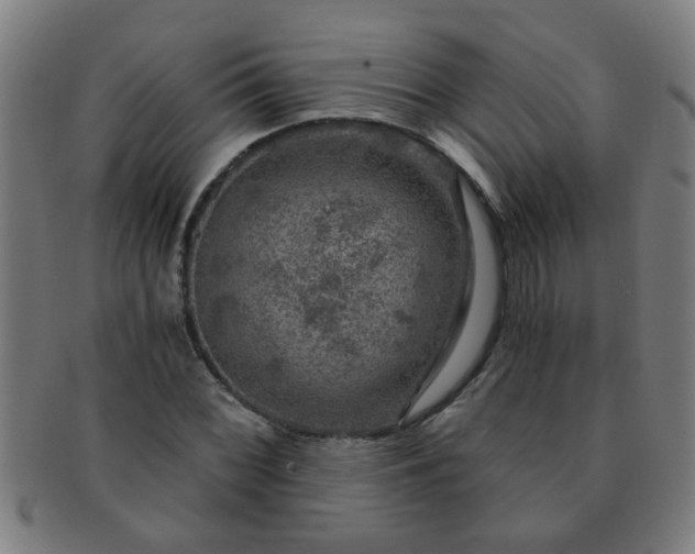 X0000091361068200708241305