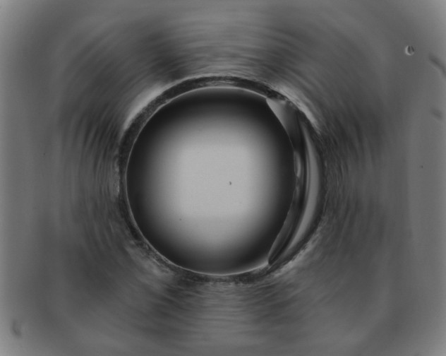 X0000091361069200708241305