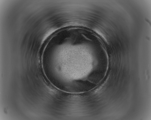 X0000091361070200708241305