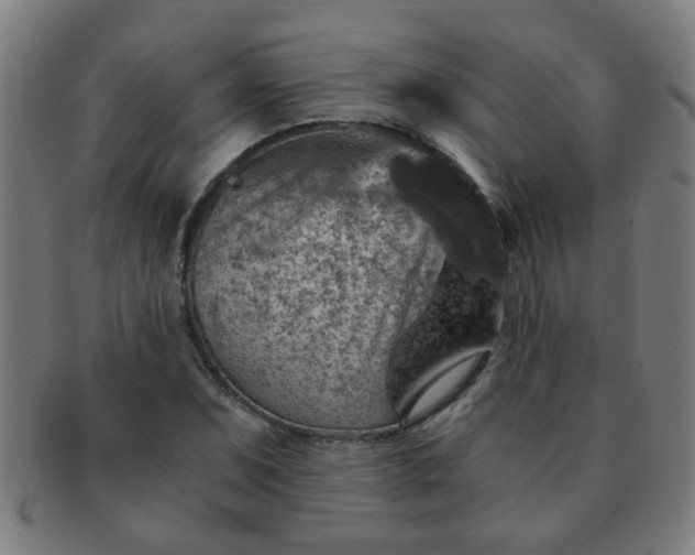 X0000091361071200708241305