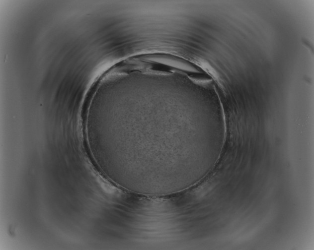 X0000091361072200708241305