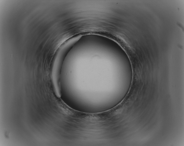 X0000091361073200708241305