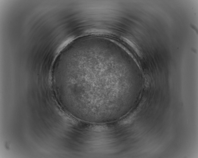 X0000091361074200708241305