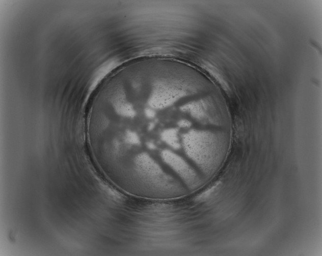 X0000091361075200708241305