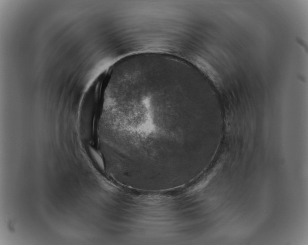 X0000091361077200708241305