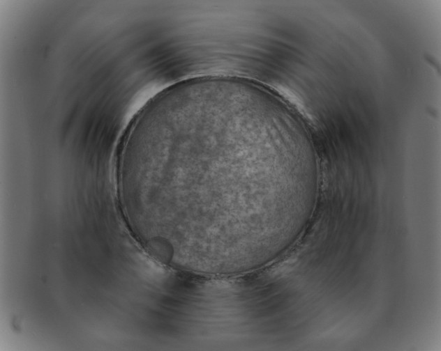 X0000091361078200708241305