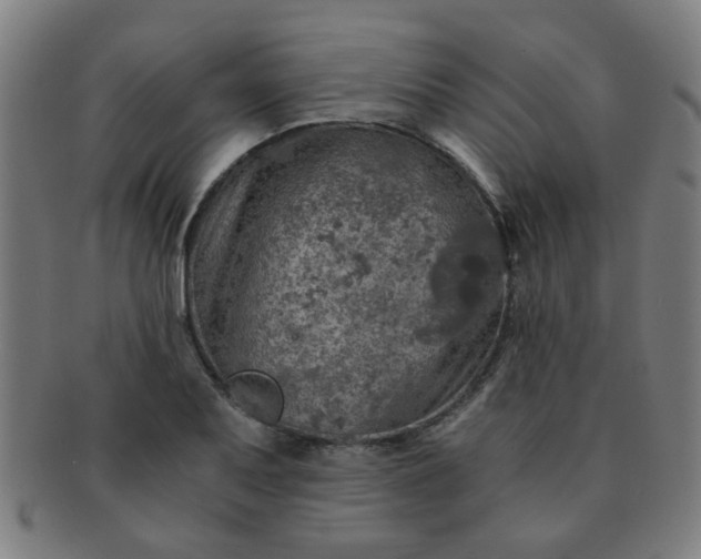 X0000091361079200708241305