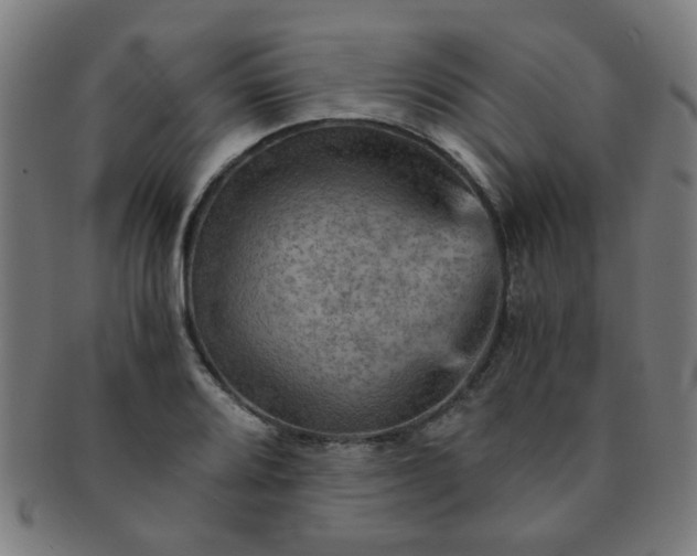 X0000091361080200708241305