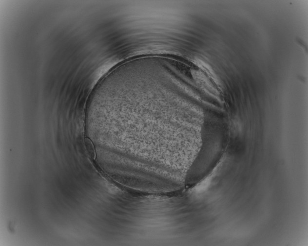 X0000091361081200708241305