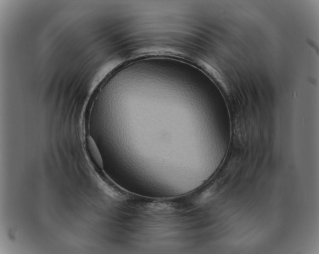 X0000091361082200708241305