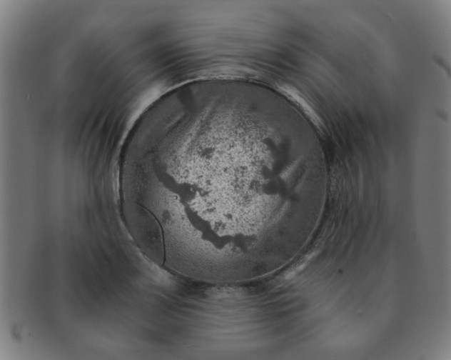 X0000091361083200708241305