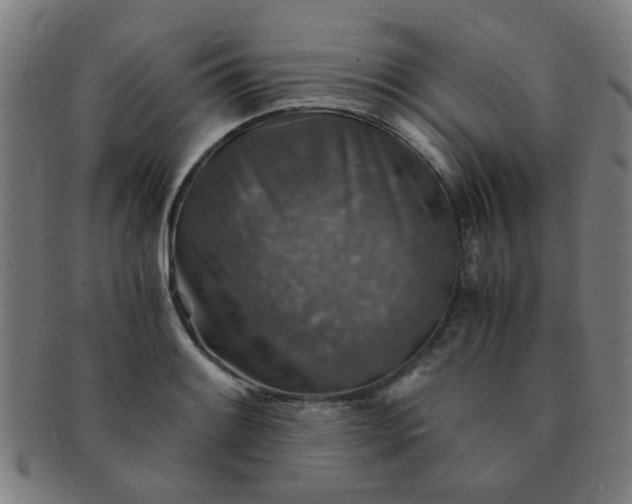 X0000091361084200708241305