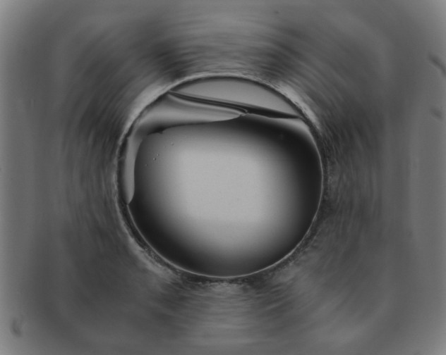 X0000091361085200708241305