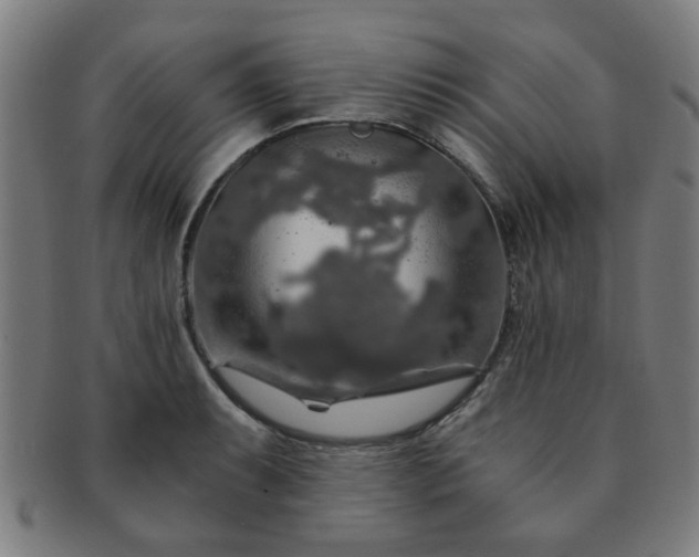 X0000091361087200708241305