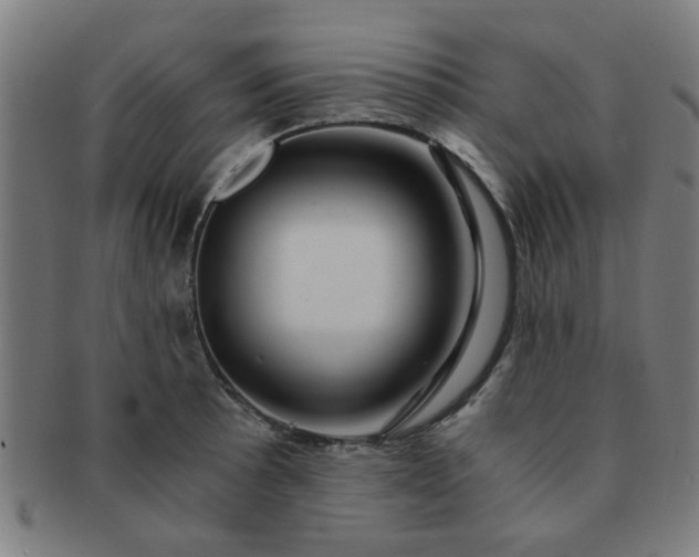 X0000091361089200708241305