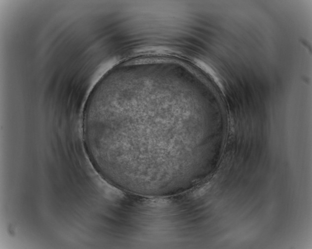 X0000091361090200708241305