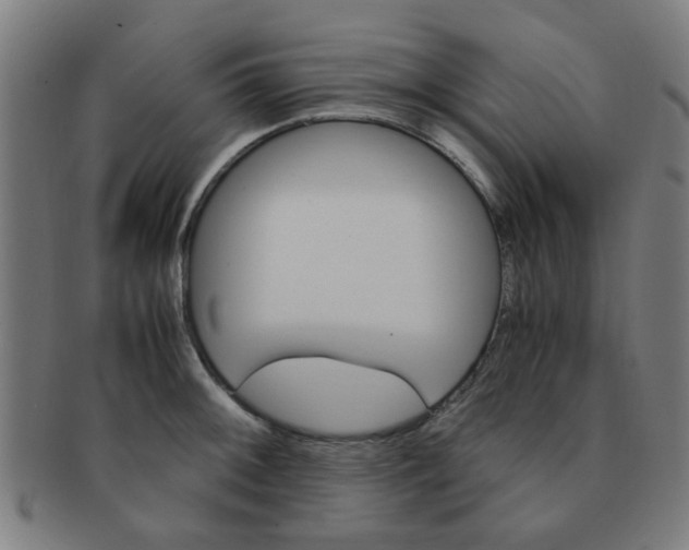 X0000091361092200708241305