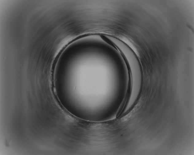 X0000091361093200708241305