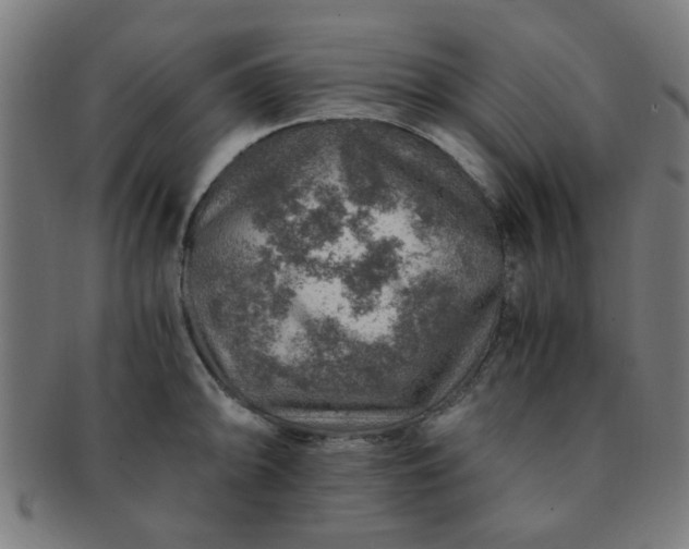 X0000091361094200708241305