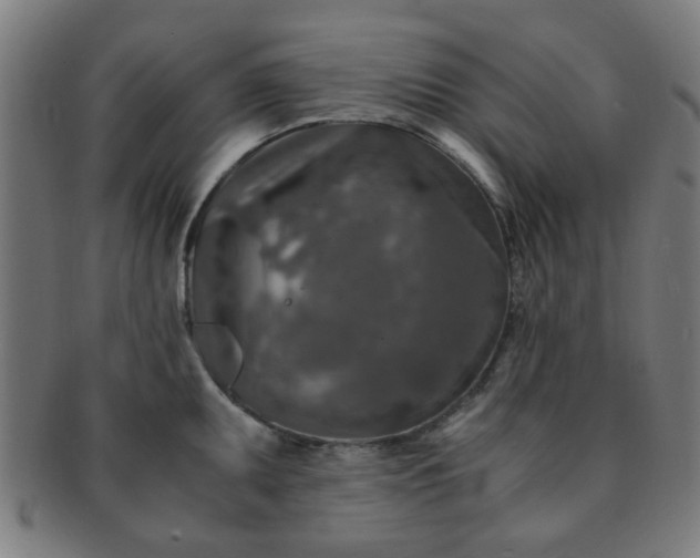X0000091361095200708241305